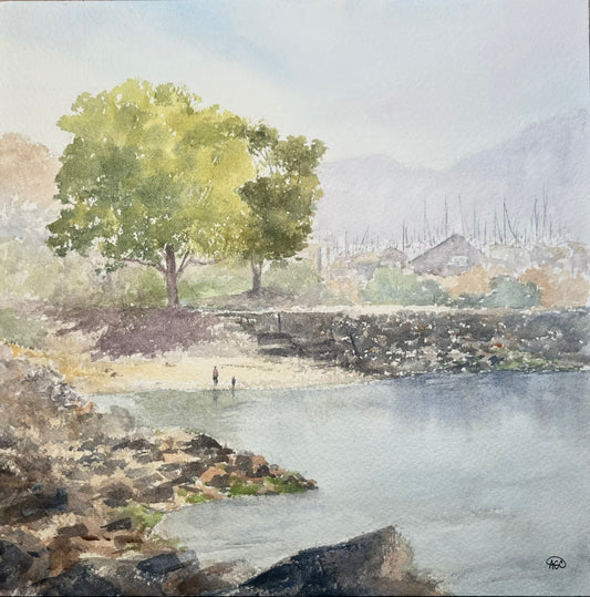 A Day at the Cove