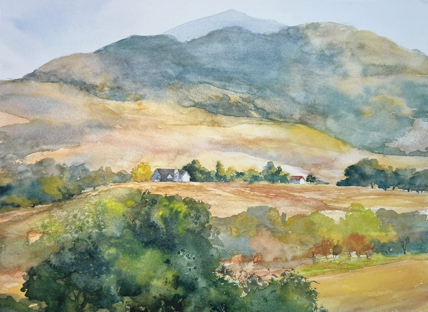Spring & Summer Landscapes Notecards