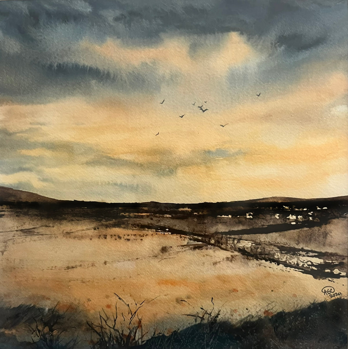 Dry Lands