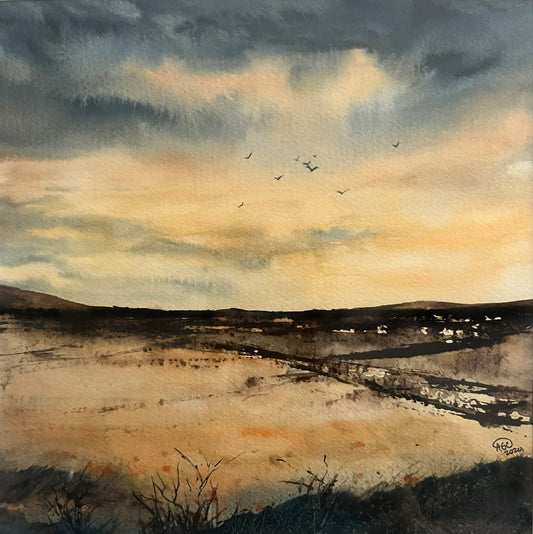Dry Lands