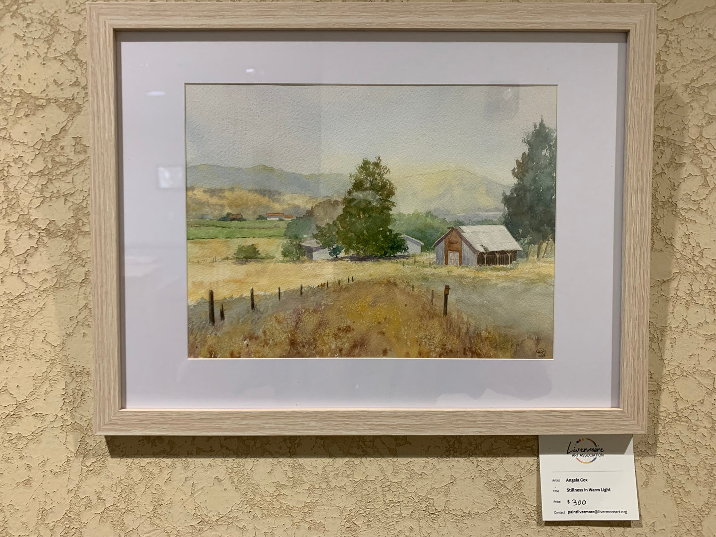 Stillness in Warm Light (SOLD)