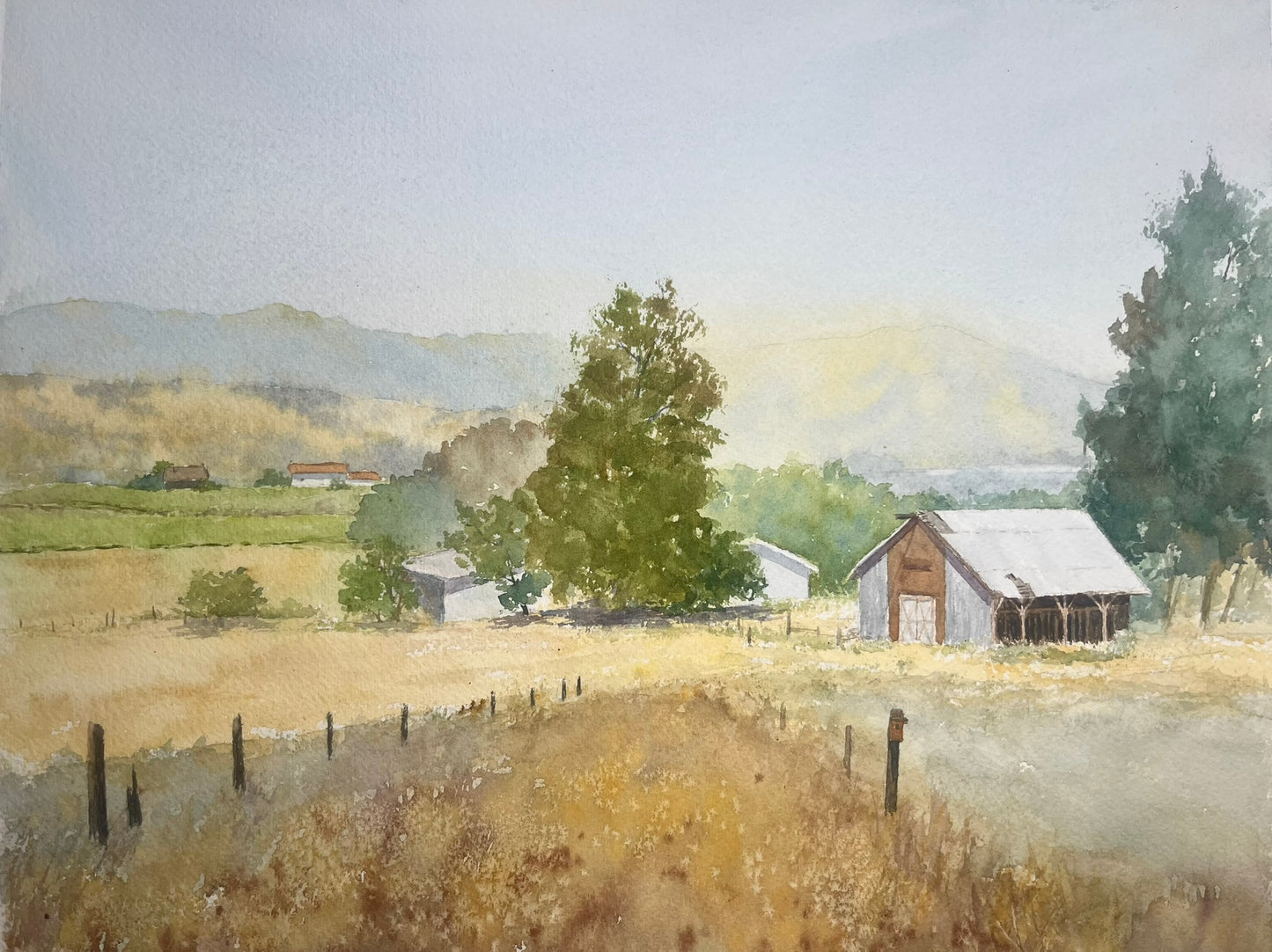 Stillness in Warm Light (SOLD)