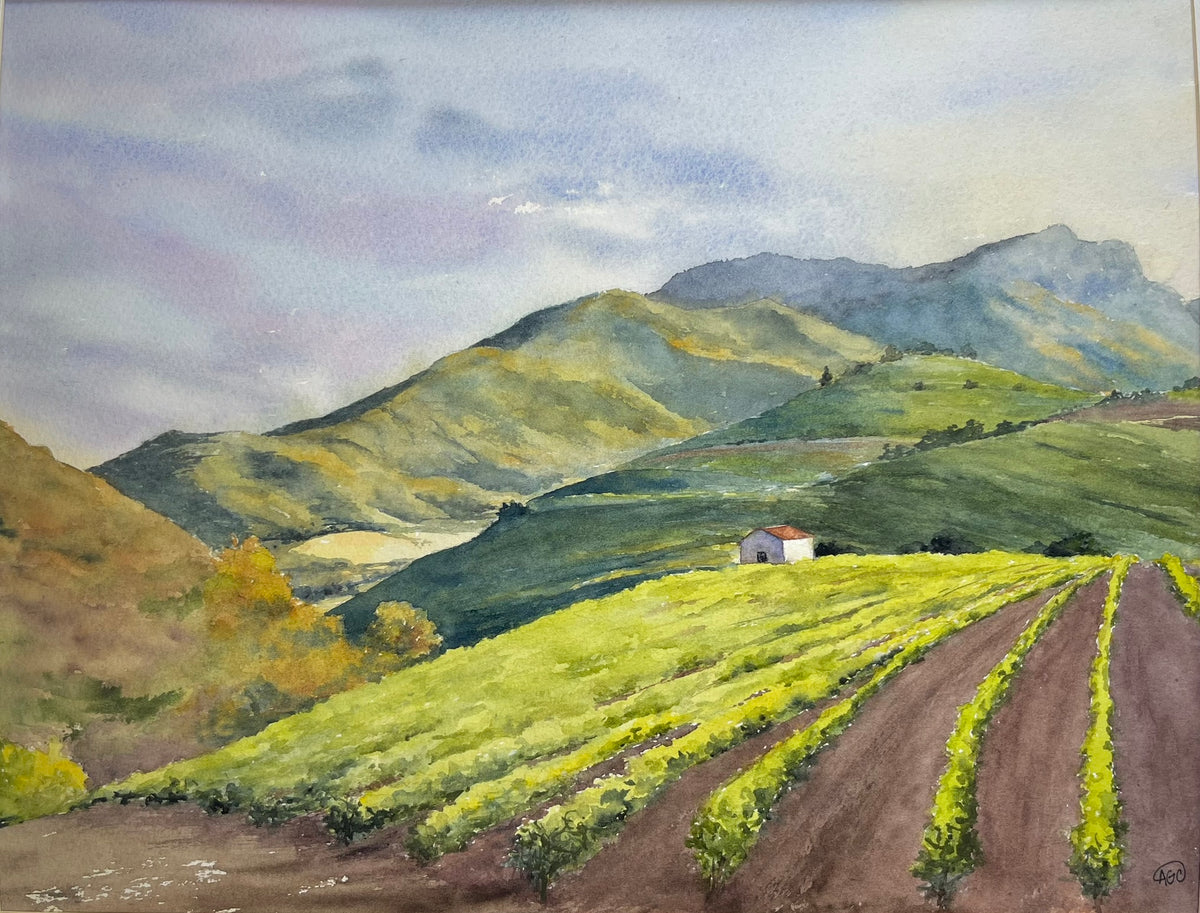 Vineyard Press House