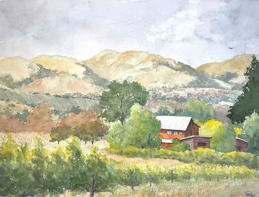 A Vineyard View