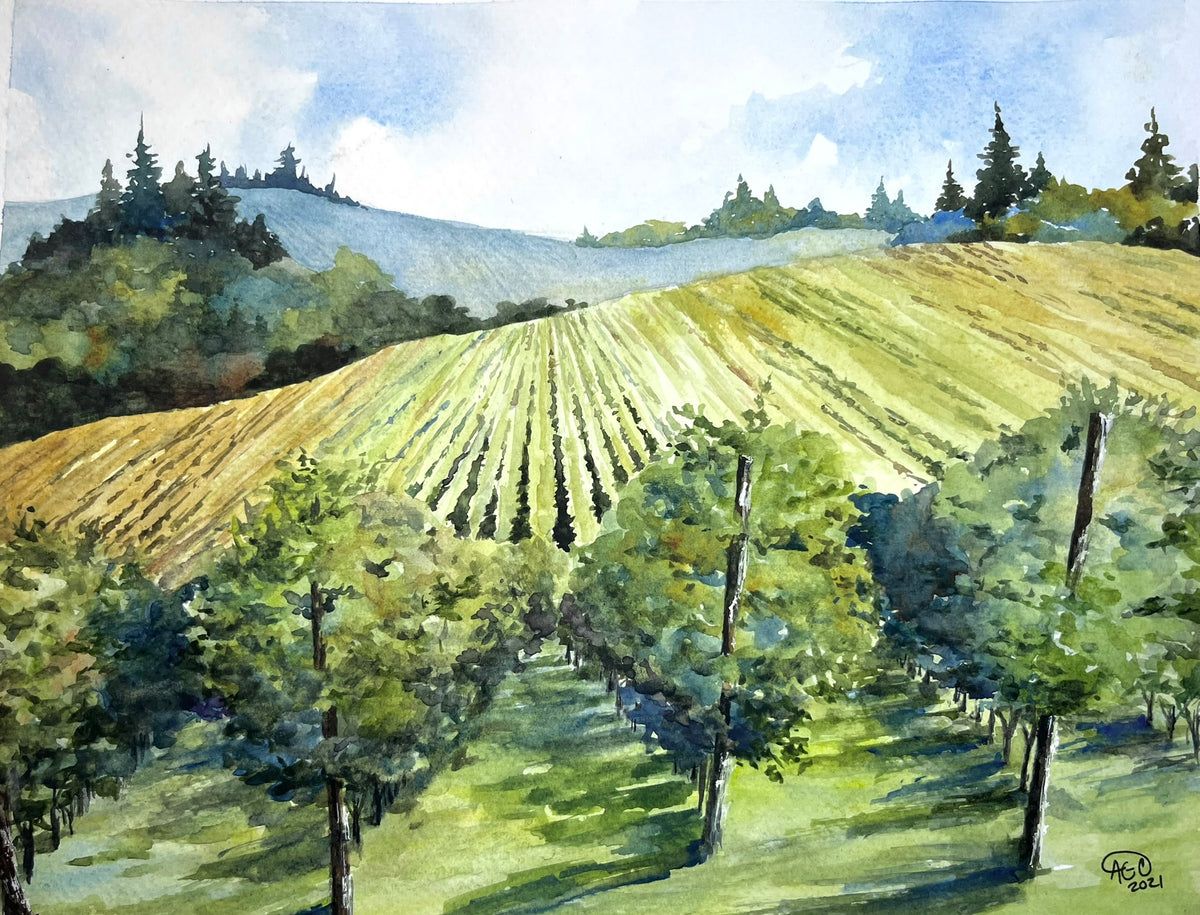 Vine Rows